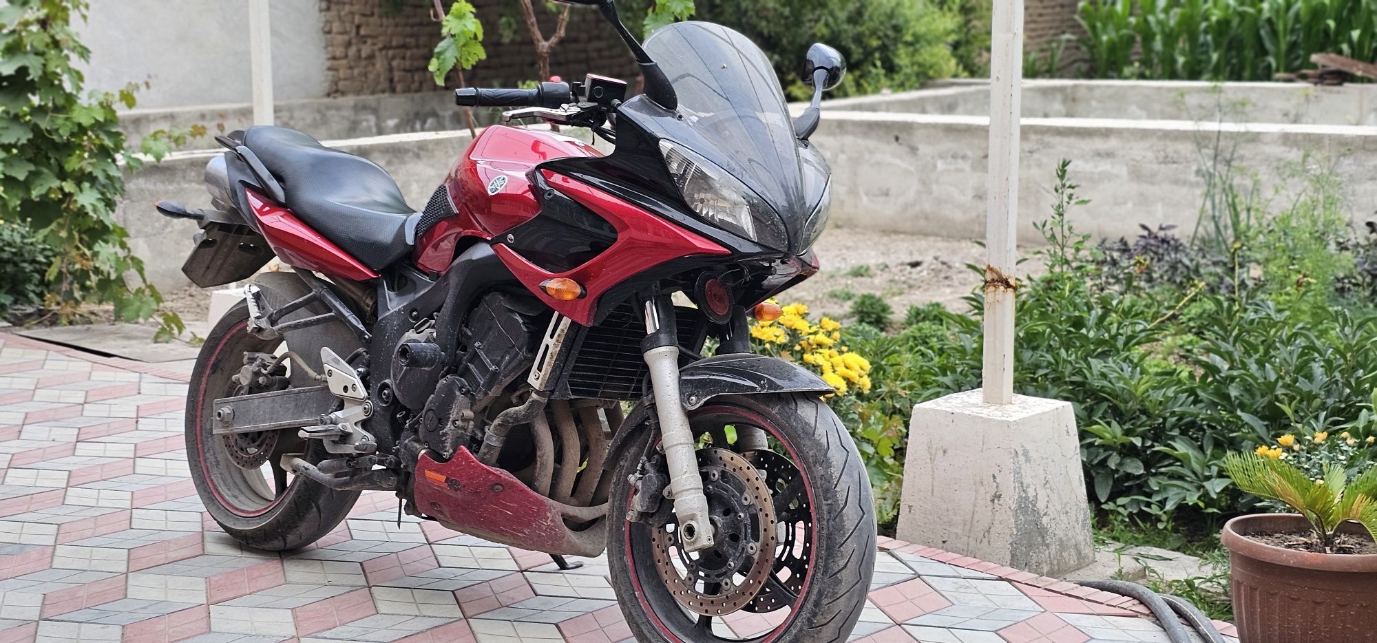 Yamaha Fazer 6s 2006, Dokumenti bilan