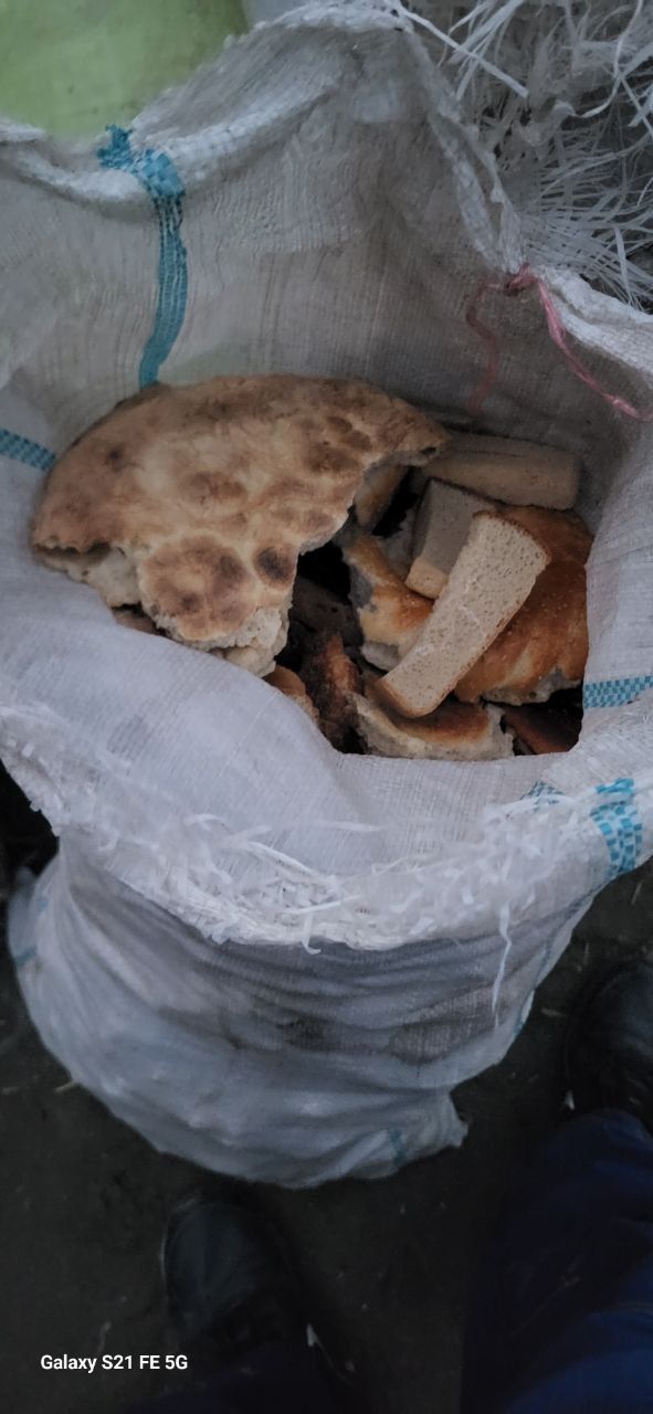 Qotgan Non sotiladi