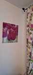 Tablou pe sticla, Lalele colorate