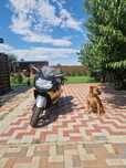 BMW K1200S - Putere și Confort, Gata de Drum!