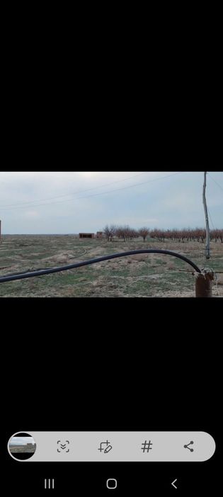 Нурота туманида 50гектар Ер ижарага берилади