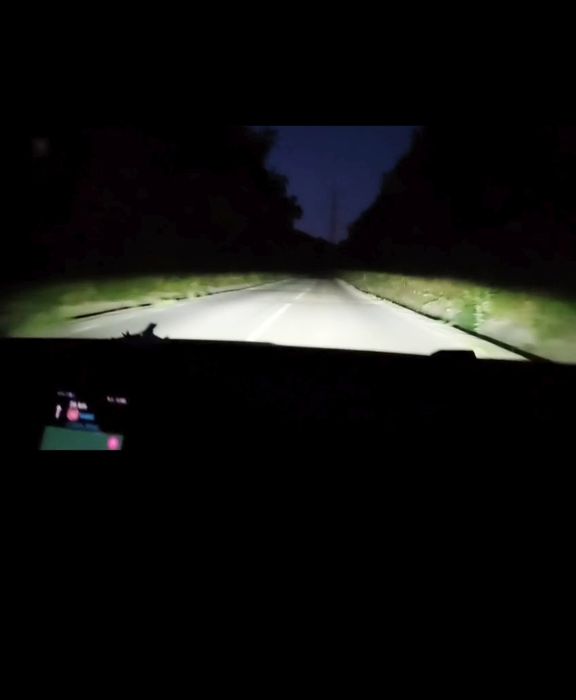 Becuri far Xenon, Led, D1S, D3S