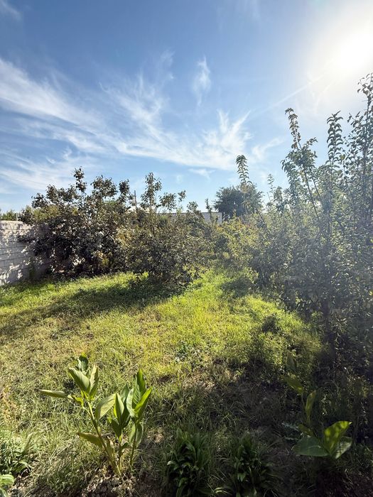 Ховли Сотилади 7 соток ески шахар орентир Мунис туйхонадан озро ичкари