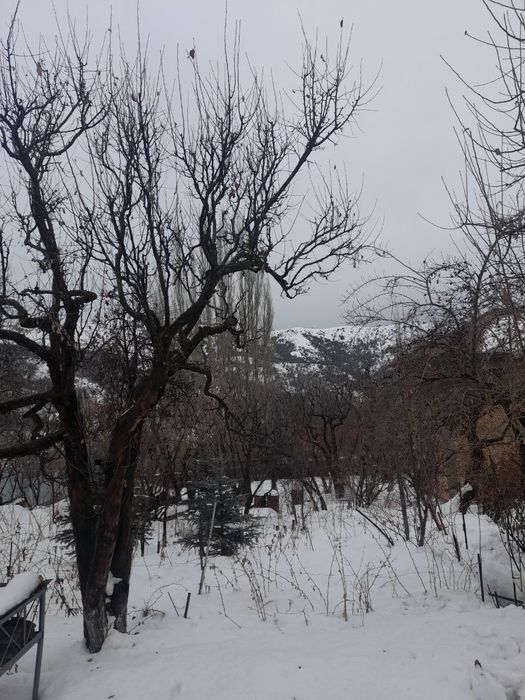 Жилой дом.Участок 25 соток.