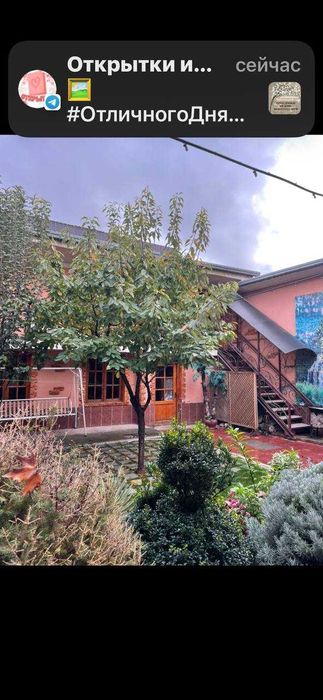 Продаю дом с бизнесом, 1 линия в доль дороги Тоштурма Богишамол 260