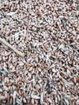 Vand grau/ovaz/triticale prod 2025