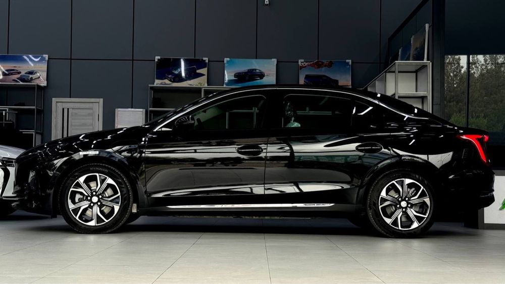 Hongqi e-qm5 full 500