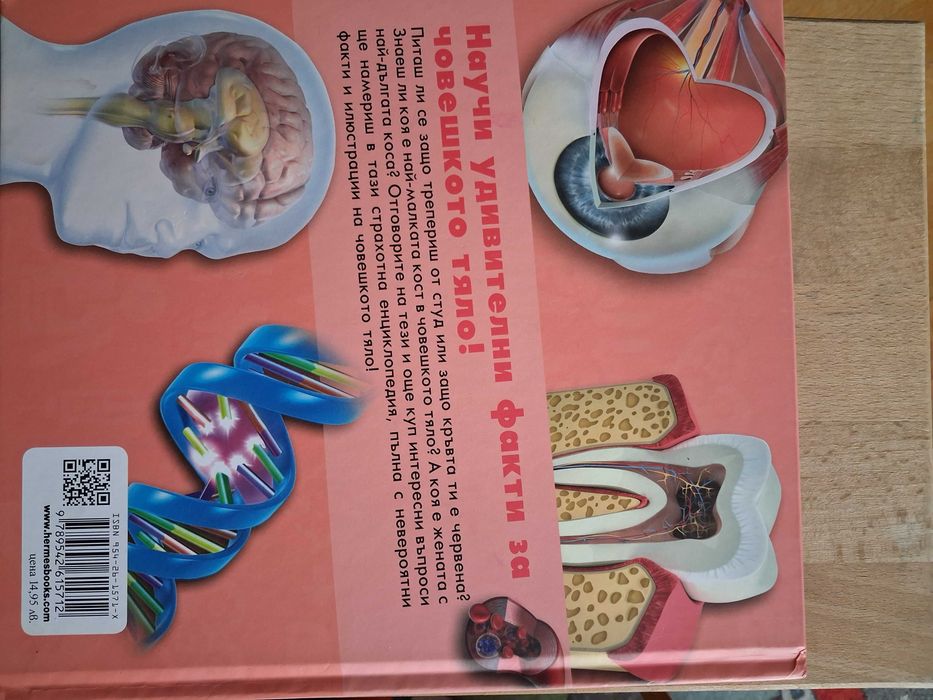 Детска енциклопедия за човешкото тяло