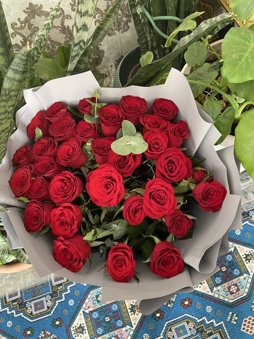 Срочно продам живые цветы