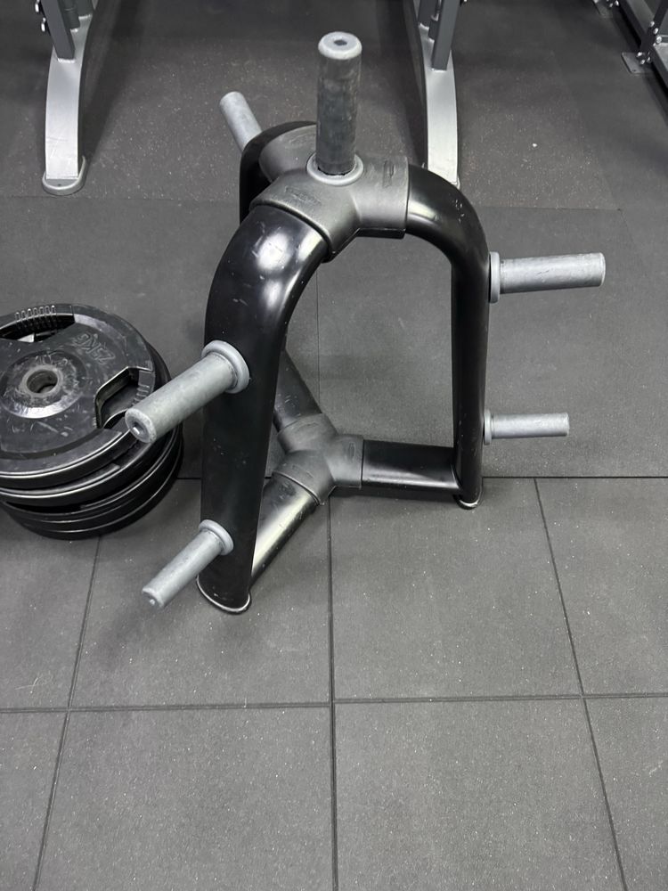 Discuri 5kg 10kg 15kg 20kg 25kg + suport Technogym