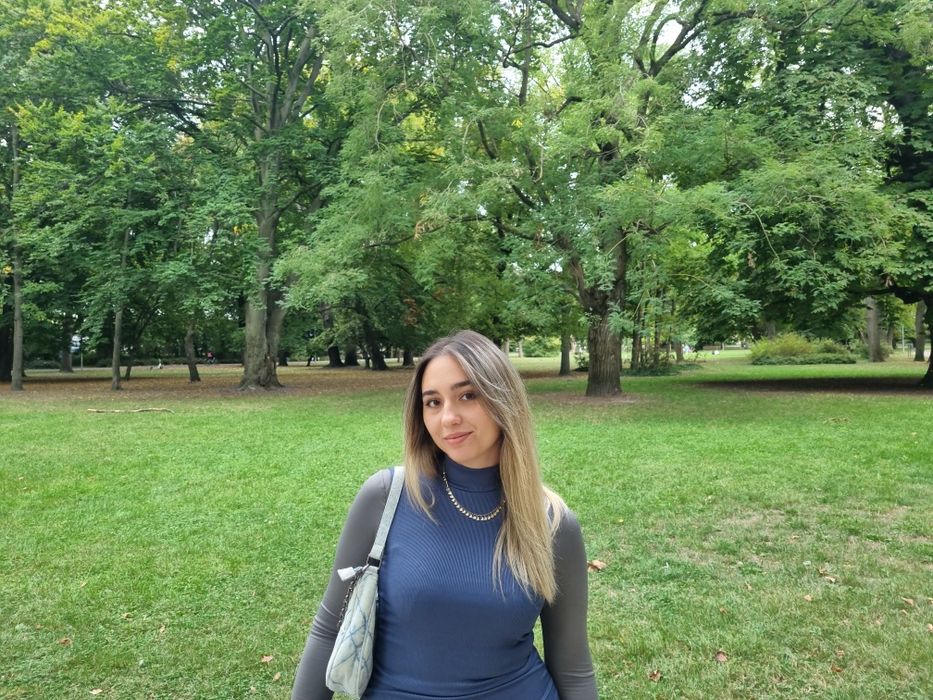 Meditatii la matematica / limba romana