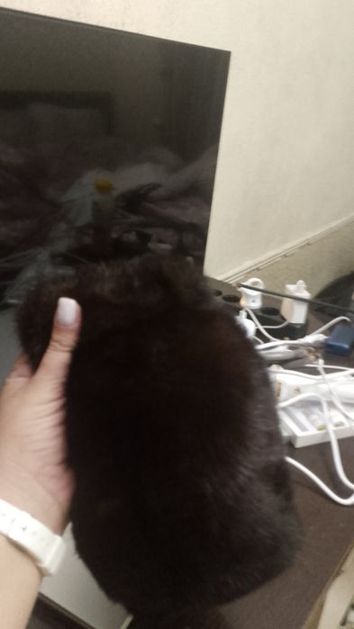 Продам мужскую  норковую шапку размер м