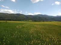 Земя в планински район - село Говедарци