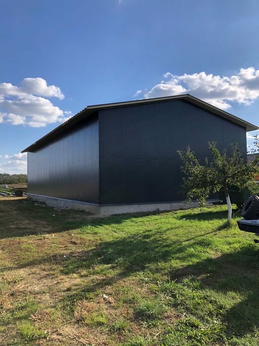 Hale pe structură Metalică/Containere la comandă