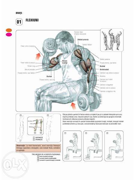 Cartea "Anatomia unui corp perfect"