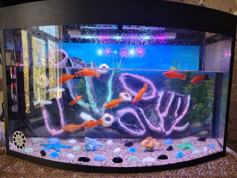 Avalniy akvarium komplekt