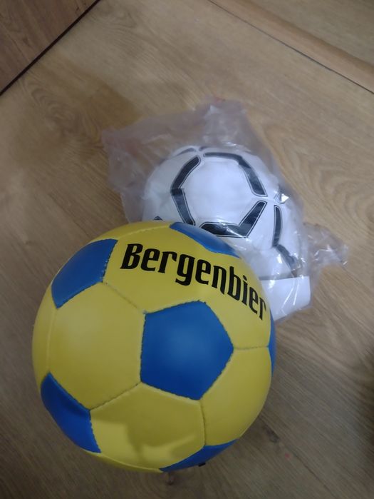 Rucsac diferite modele și culori de iarna