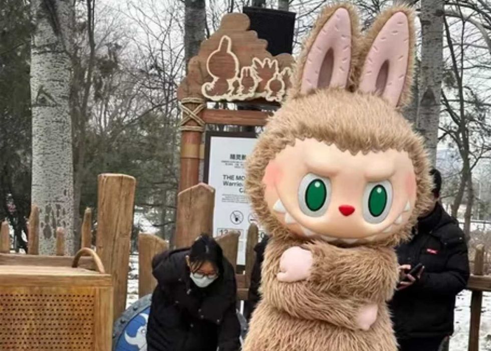 Костюм Лабубу для аниматоров