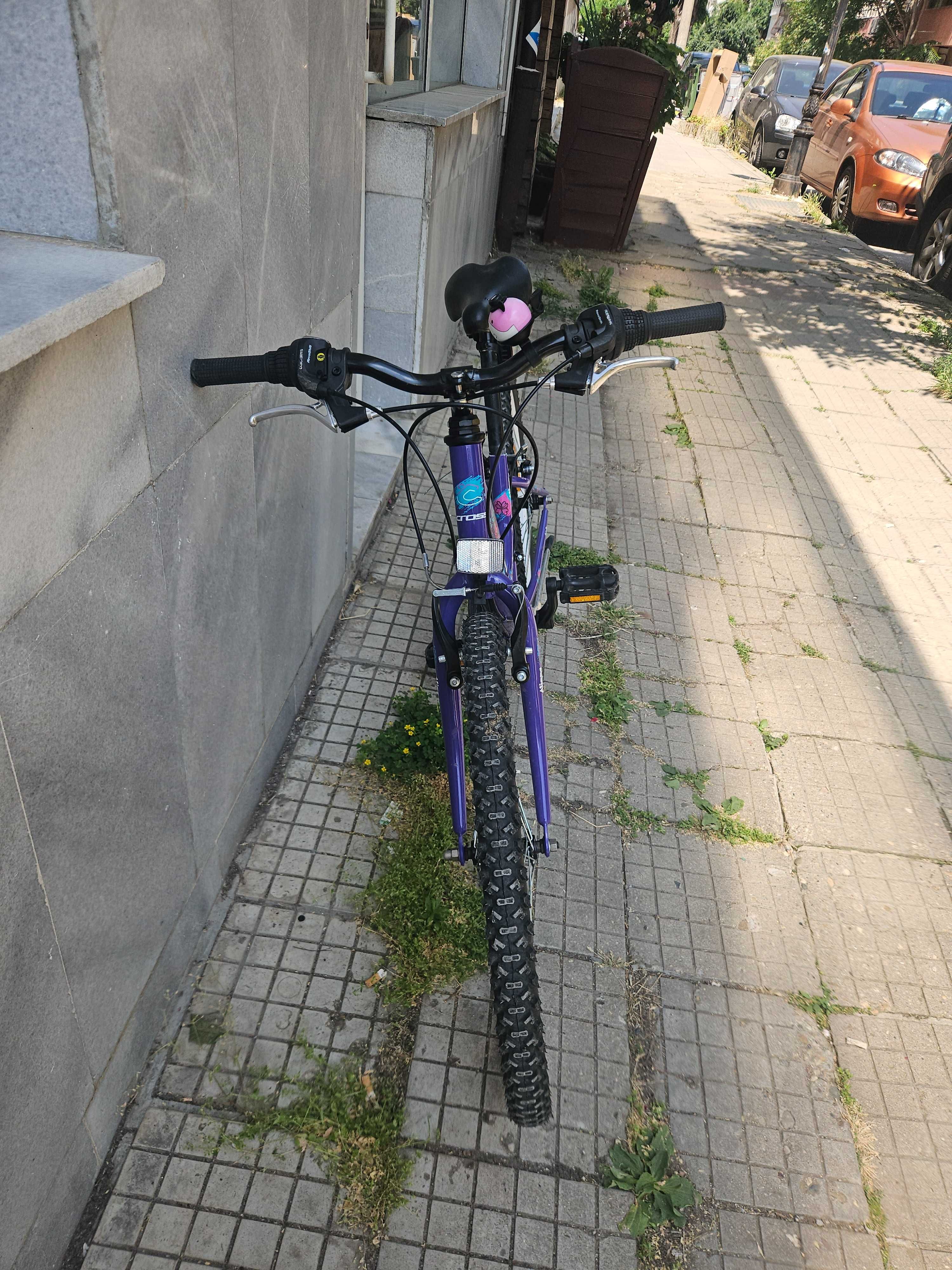 Kолело Cross Alissa 24 "