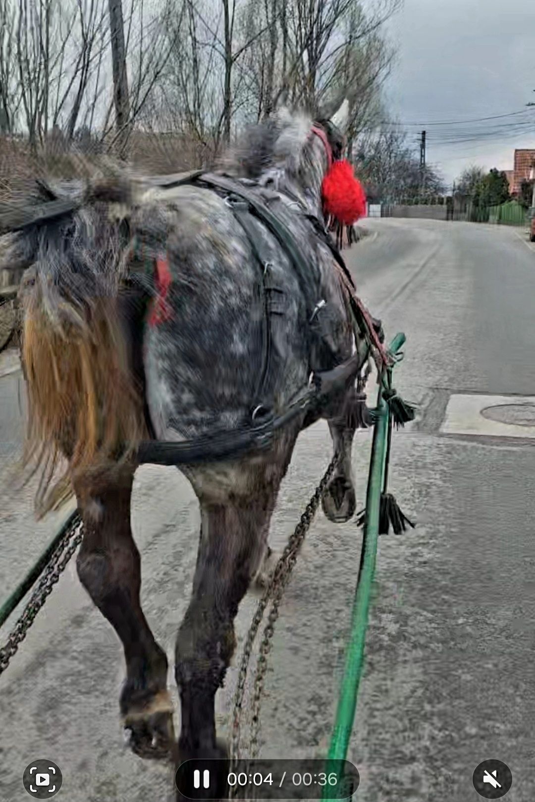 VAND iapa Percheron