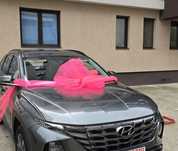 Accesorii Fundă roz mașină