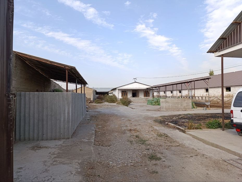 Янги У́збекистон срочно 10 сот не жилой