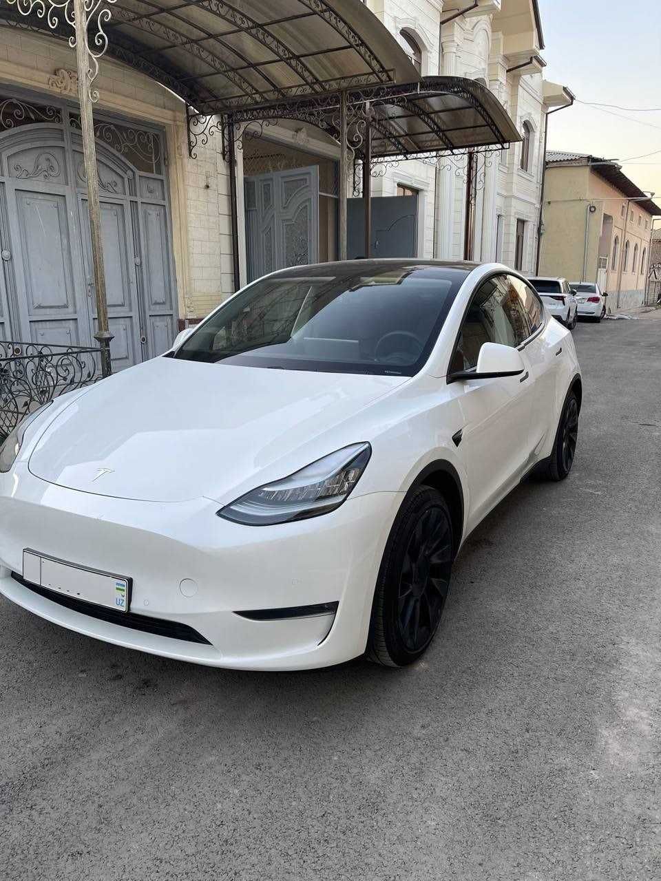 Tesla Model Y Long Range Dual motor(USA)