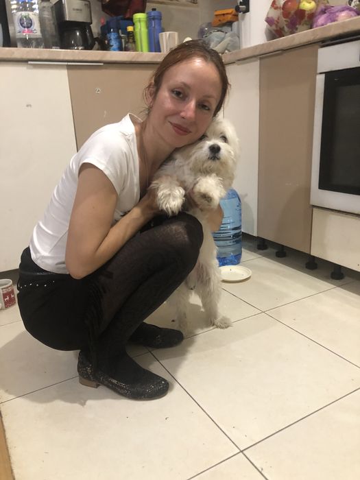 Cazare caini pet sitter