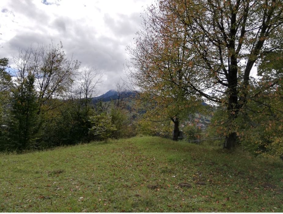 Teren intravilan Ceahlău 2500 mp