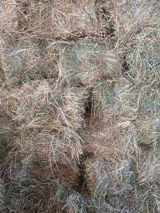 Baloți de otavă și de fân!