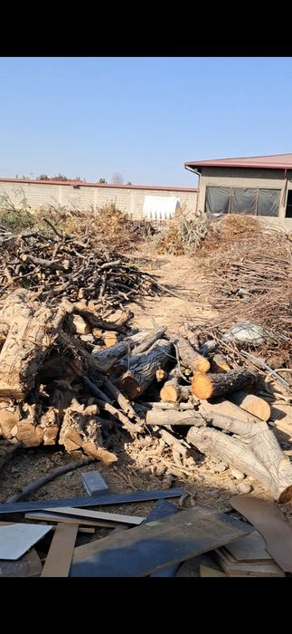 4-5 Moshina O'tin Sotladi Faqat Shox Shabasi Bilan