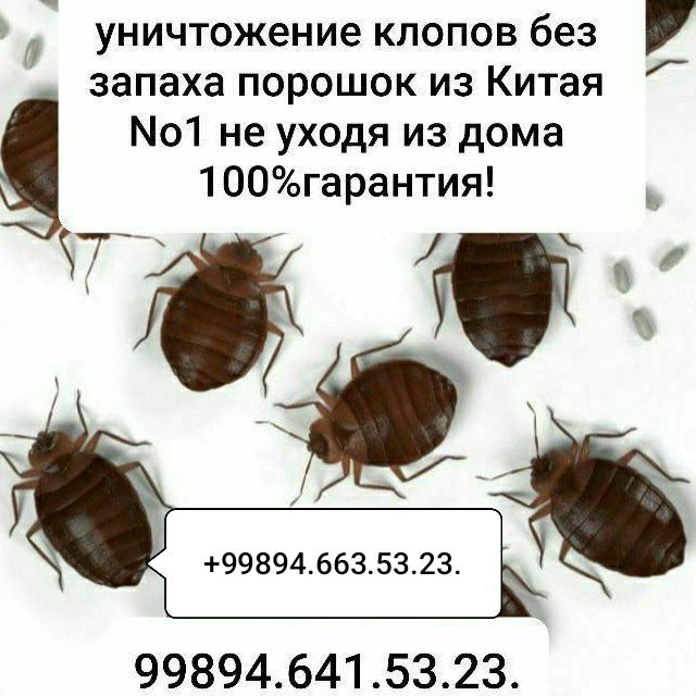 Уничтожение клопов и тараканов, без запаха и без вреда. Не уходя из до