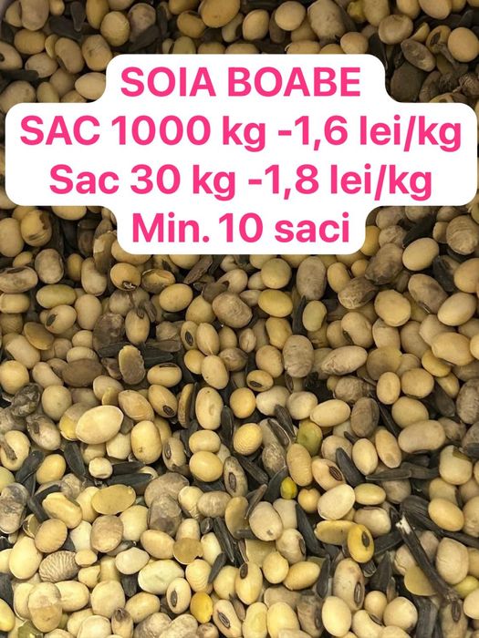 Soia boabe sac 1000kg