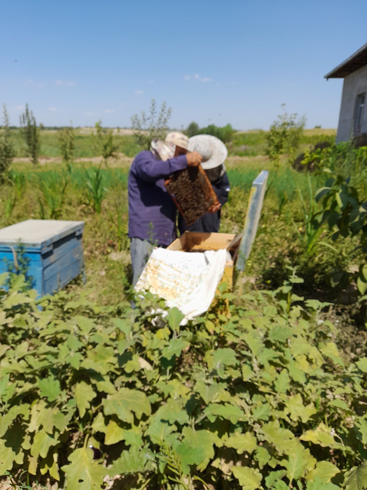 Продажа нового дома в Чиназе