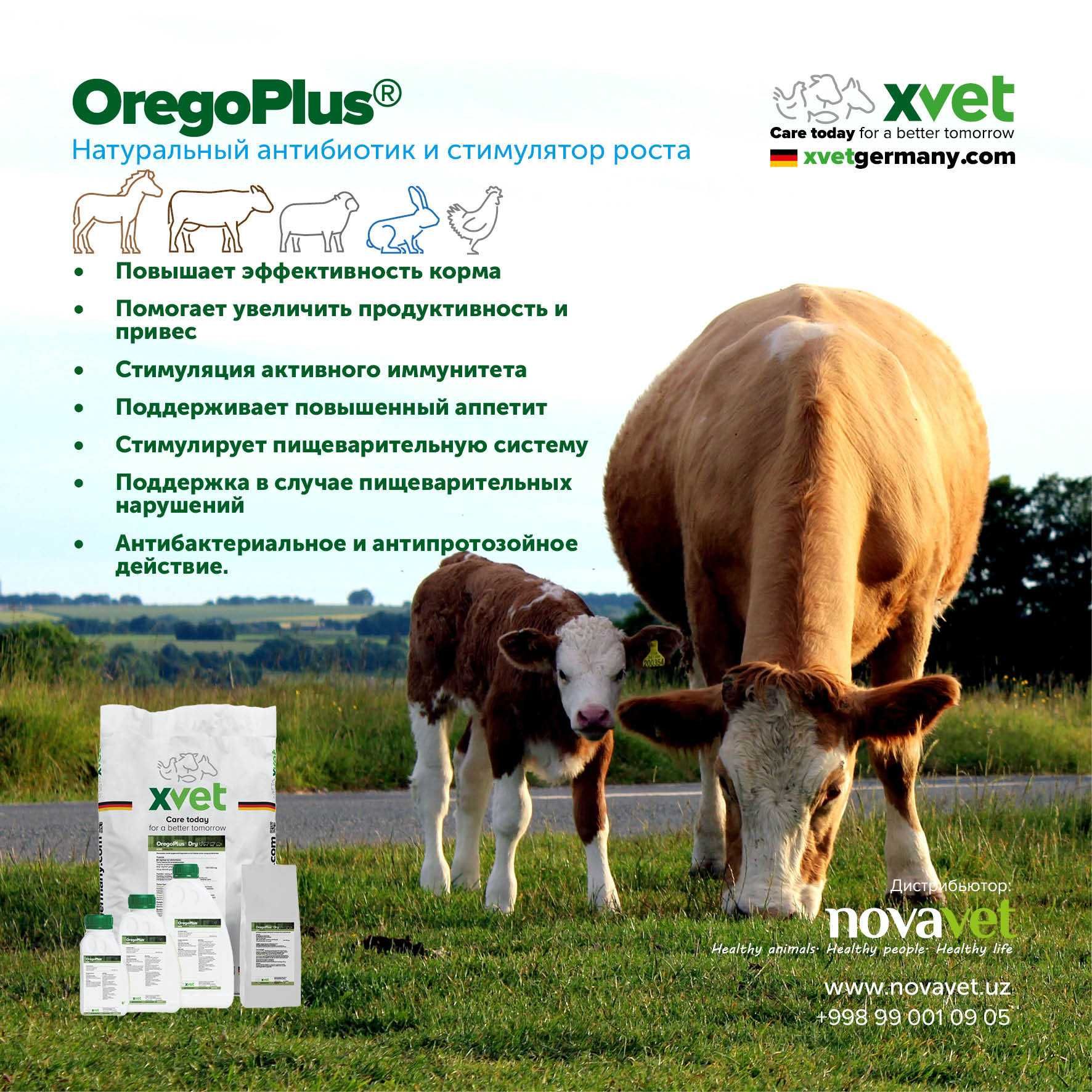 OregoPlus - Мол, куй, бройлерларни тез семиртиришга препарат