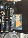 Clarinet parrot 550 lei