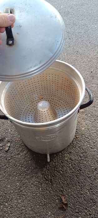 Topitor ceara albine
