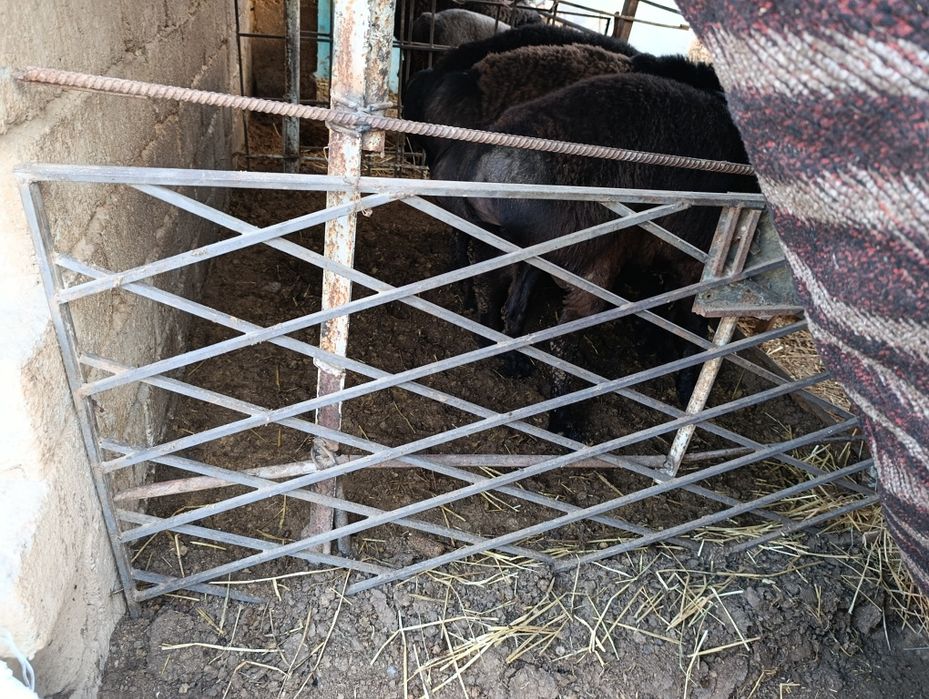 Kichikro obyomda matryal