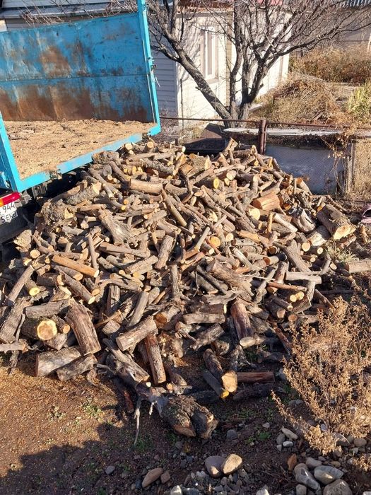 Дрова яблони, пиленые