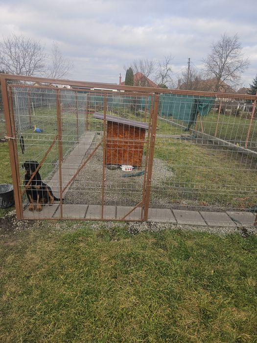 Tarc, cusca, kennel ,poarta de gradina din structura metalica si osb