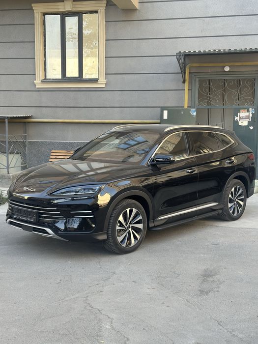 Byd chempion gibrid 2025