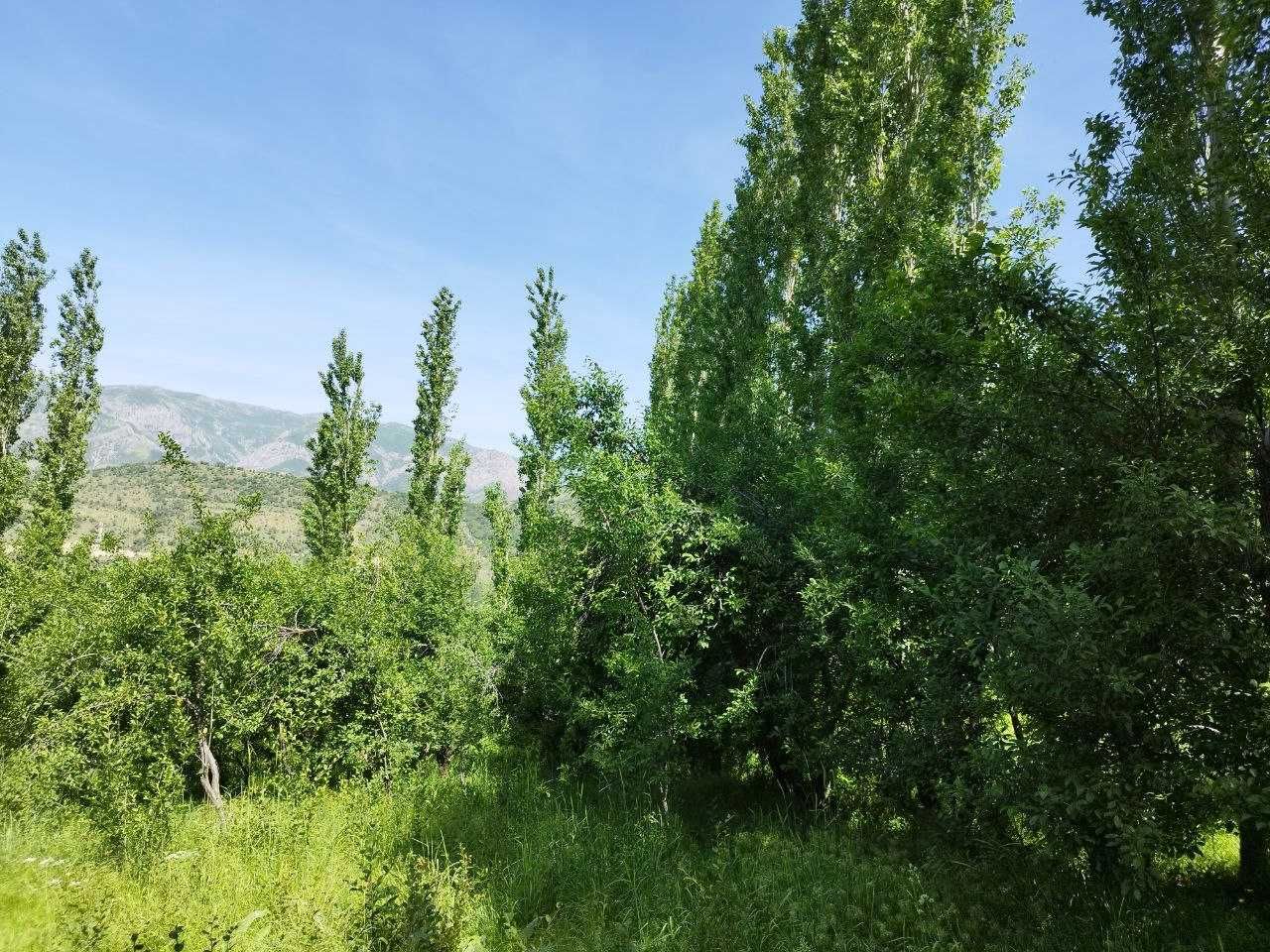 Земельный участок 22 сотки  в горах /Нанай/