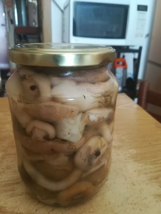 Грибы качественного соления