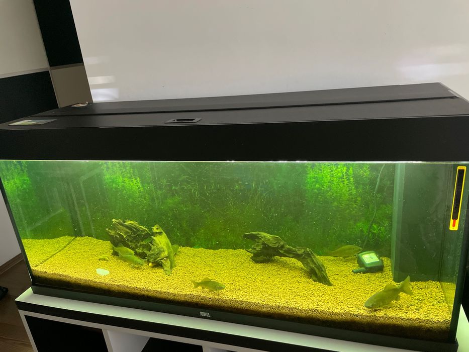 Acvariu JUWEL 240 L