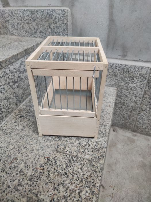 Colivie canari concurs