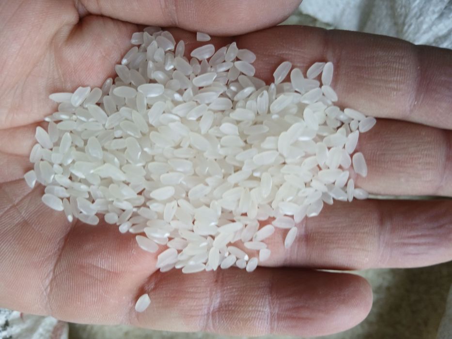 Хоразм гуручлари накд ва перечисления гуруч guruch guruch Xorazm