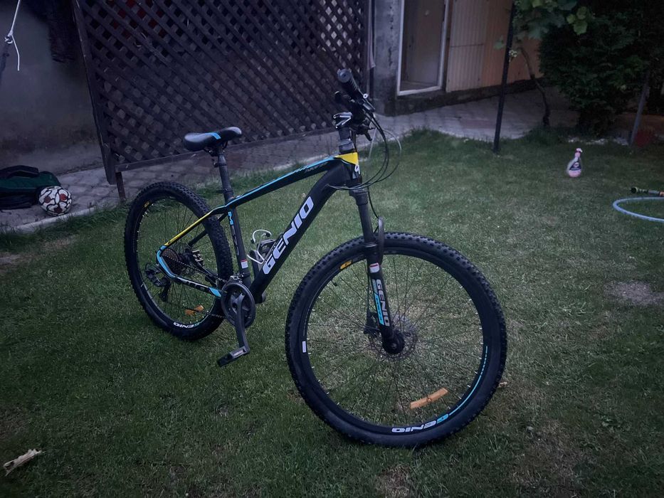 Bicicleta mountain bike