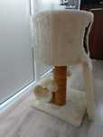 Pisici jucarii,accesorii