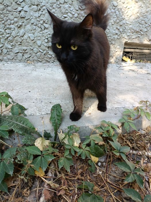 В самые ответственные руки