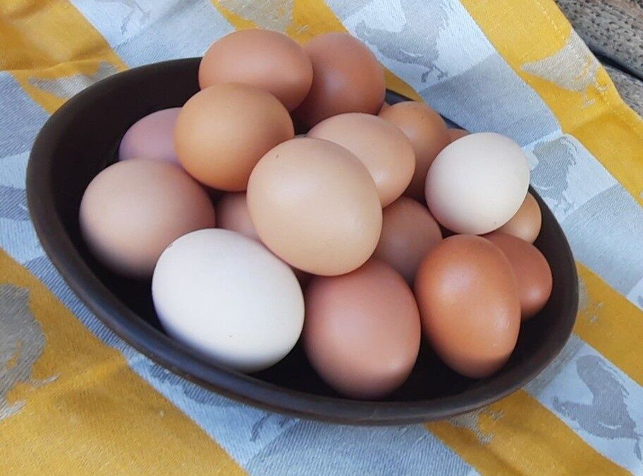 Продам домашнее куриное яйцо